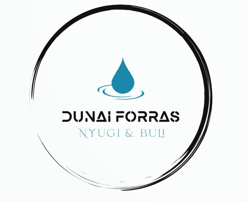 Villa Forras Vendeghaz Dunaegyhaza Exterior foto